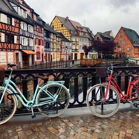 Gites Du Ladhof Colmar Esterno foto